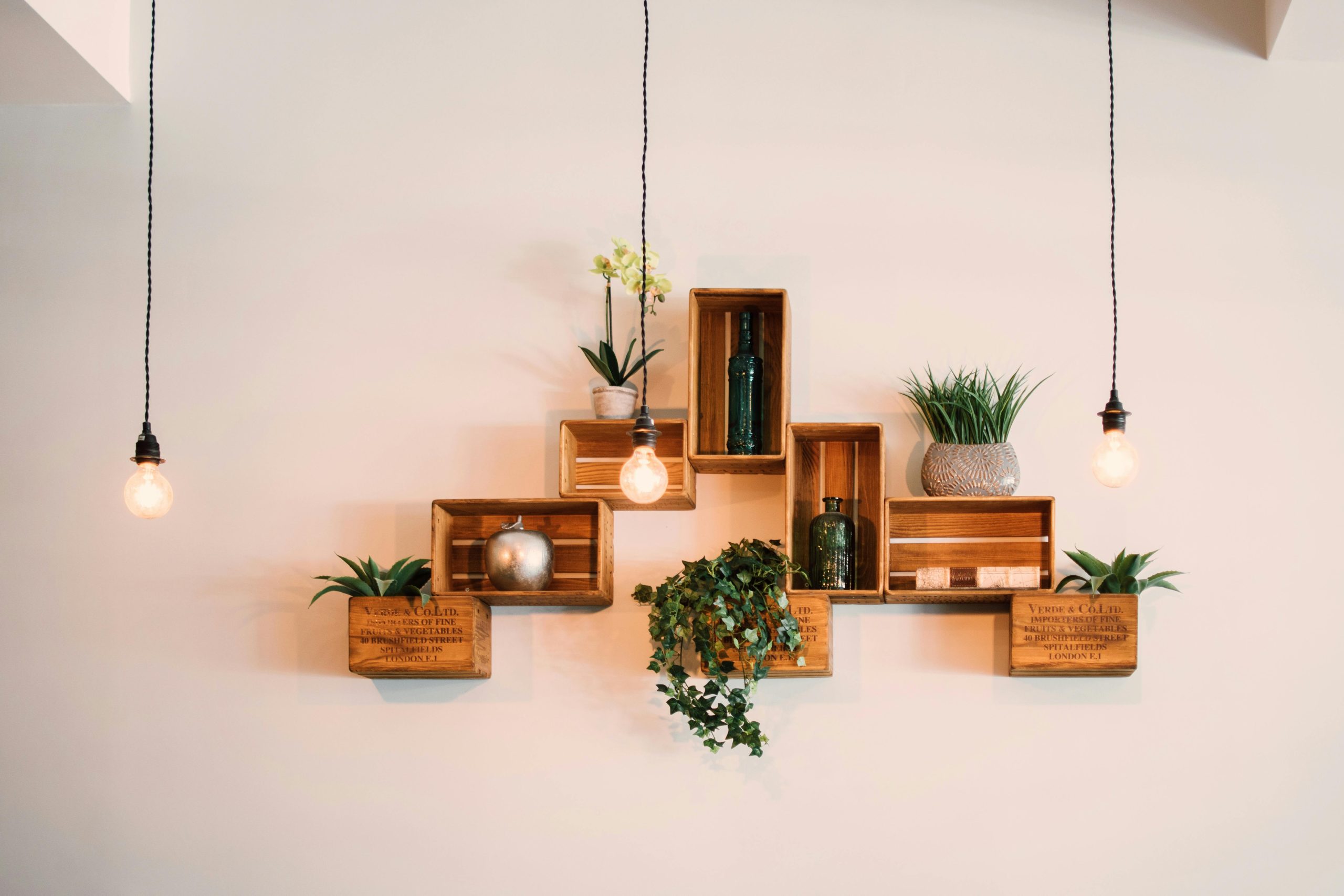 Contemporary wooden shelves with plants and decor, illuminated by hanging lights.