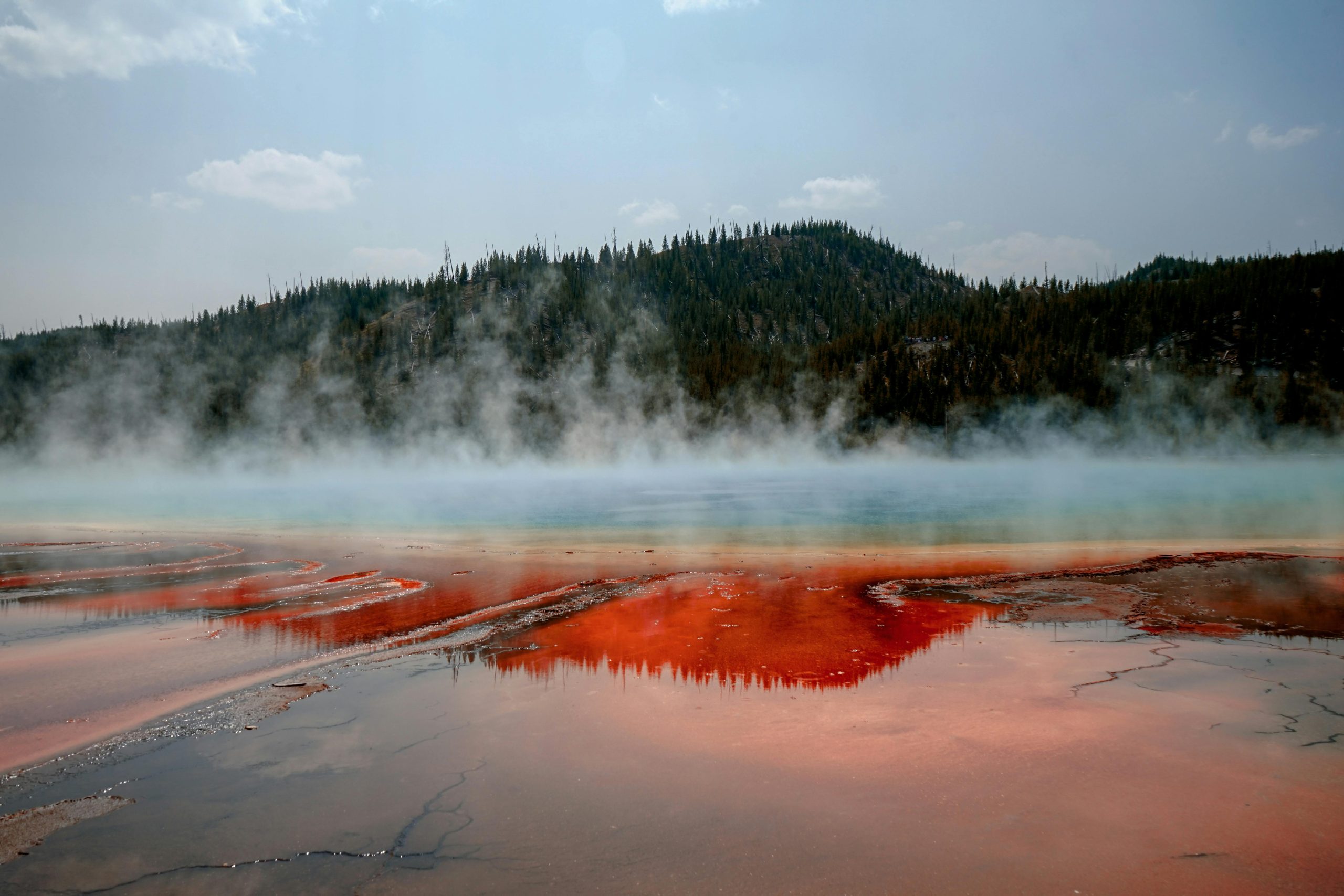 Majestic view of a steaming hot spring with vibrant colors and a forested backdrop.