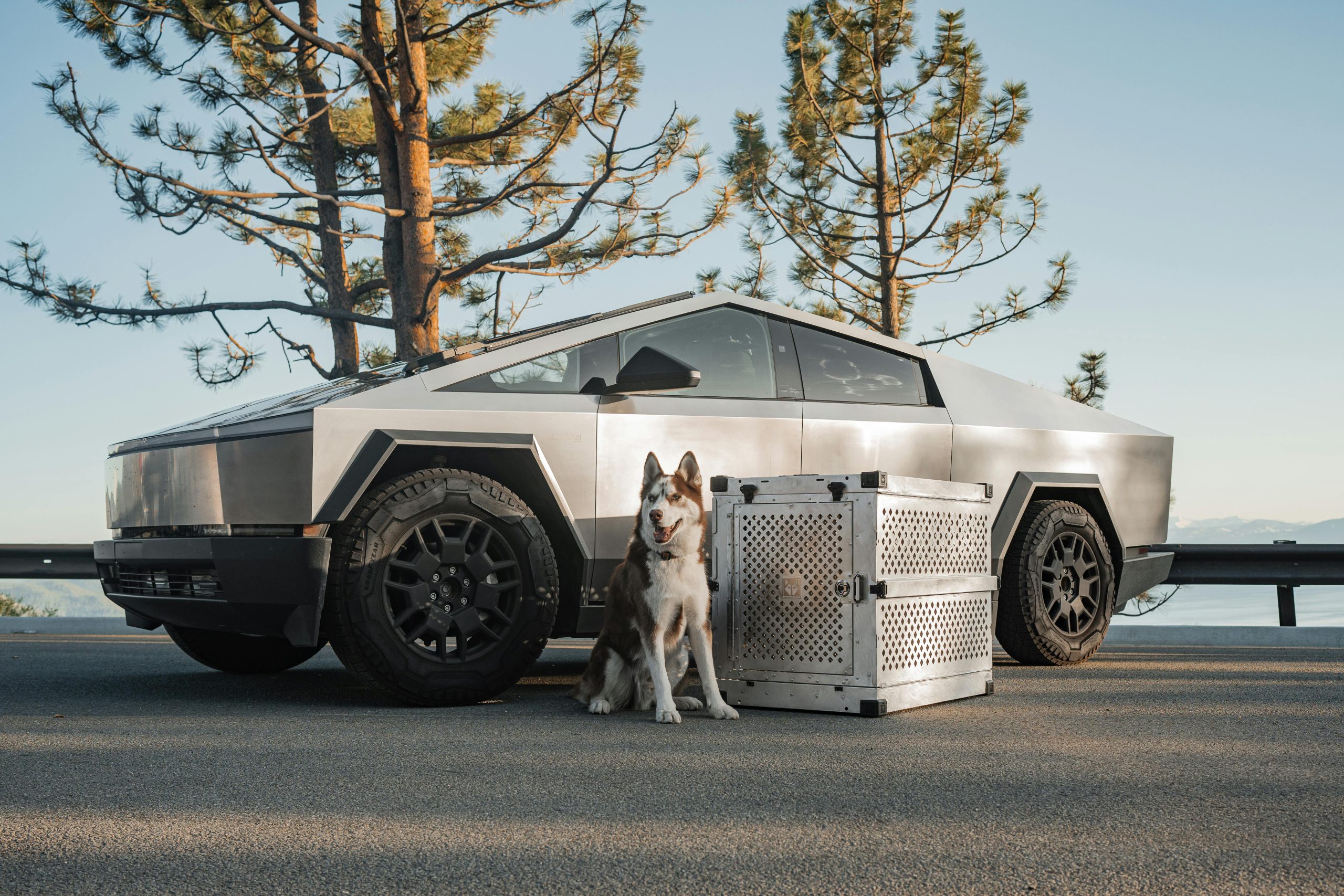 A Tesla Cybertruck parked outdoors with a dog and premium crate, set against a scenic backdrop.