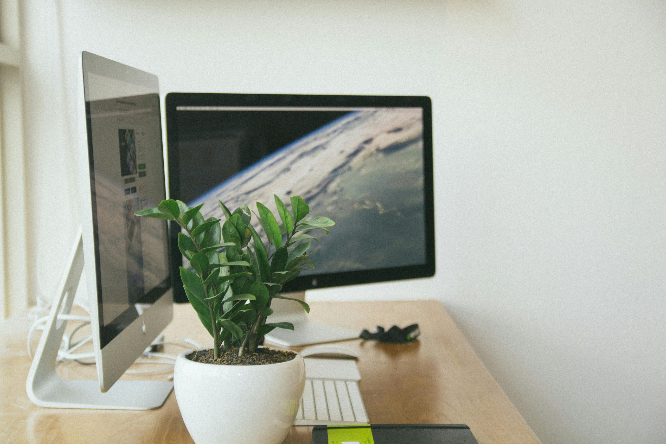 A clean and organized workspace featuring dual monitors and a potted plant.