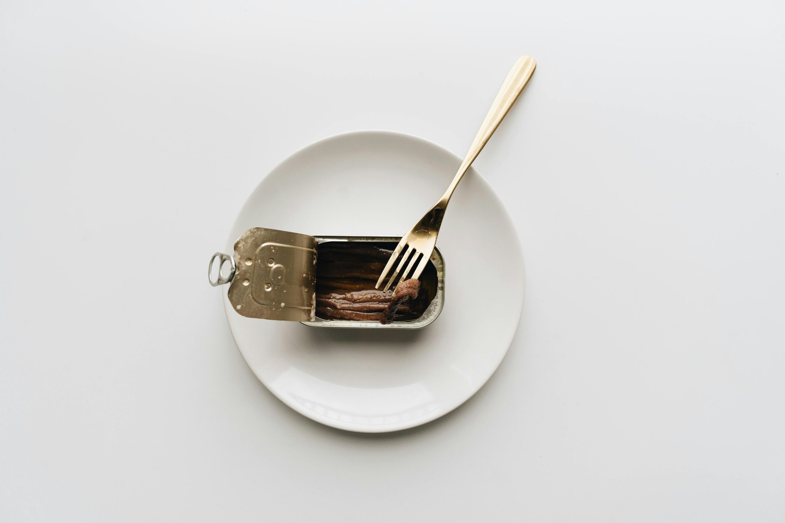 A minimalist view of canned anchovies with a fork atop a white plate, showcasing simplicity in food photography.